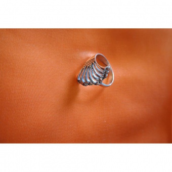 BAGUE GRIFFE EN ARGENT